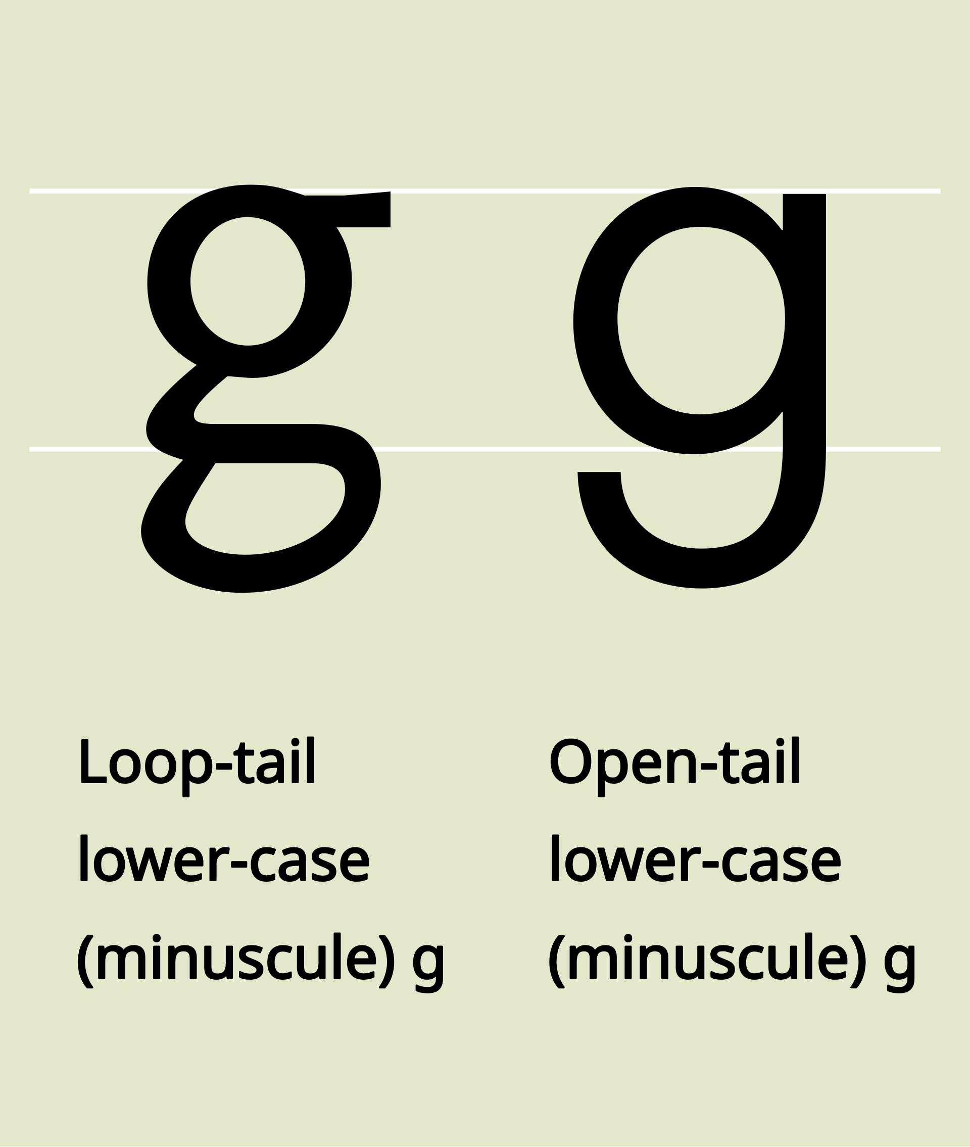 Figure 1：两个不同的 g。